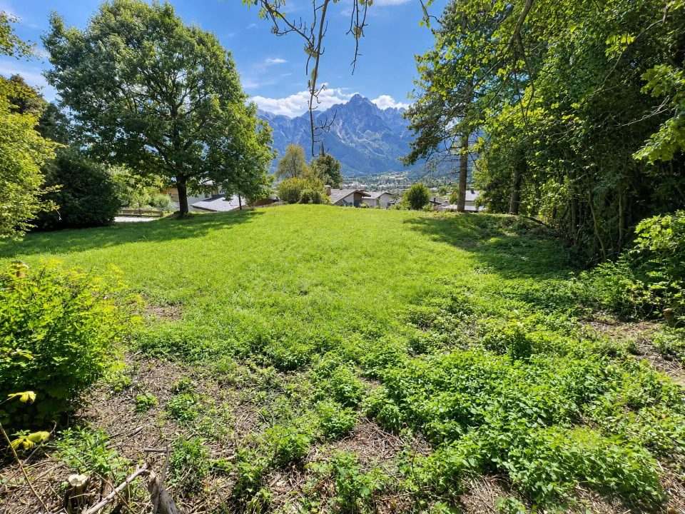 Baugrundstück in Gaimberg, Bild 2 von 10