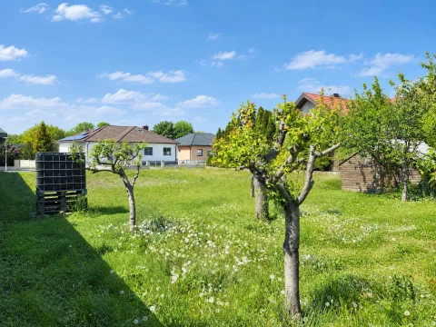 Baugrundstück in Weiden am See, Bild 10 von 16