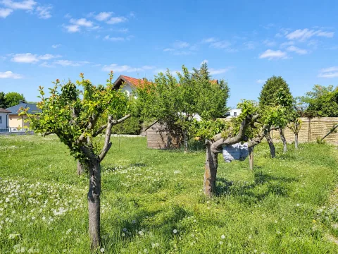 Baugrundstück in Weiden am See, Bild 11 von 16