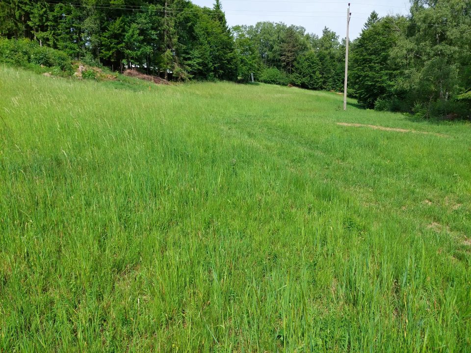 Landwirtschaftliche Nutzfläche im Böhmerwald, Bild 4 von 8