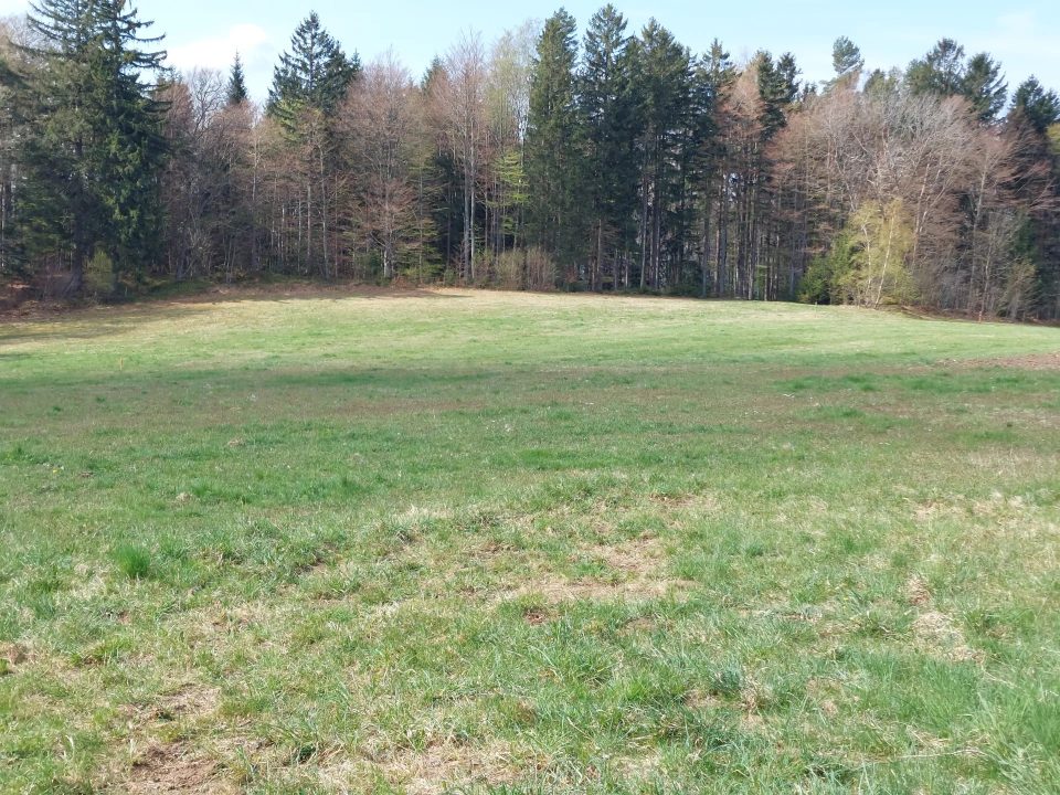 Landwirtschaftliche Nutzfläche im Böhmerwald, Bild 5 von 8