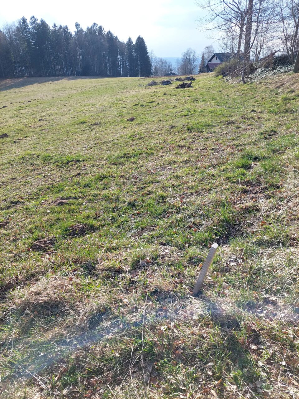 Landwirtschaftliche Nutzfläche im Böhmerwald, Bild 6 von 8