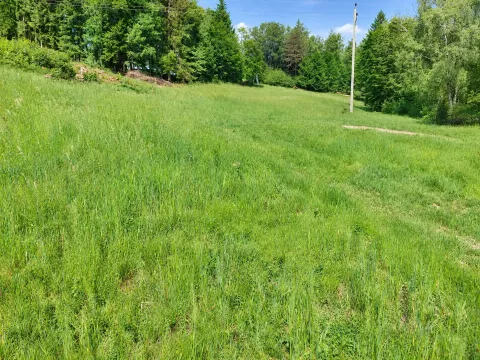 Landwirtschaftliche Fläche in Schwarzenberg, Bild 1 von 8