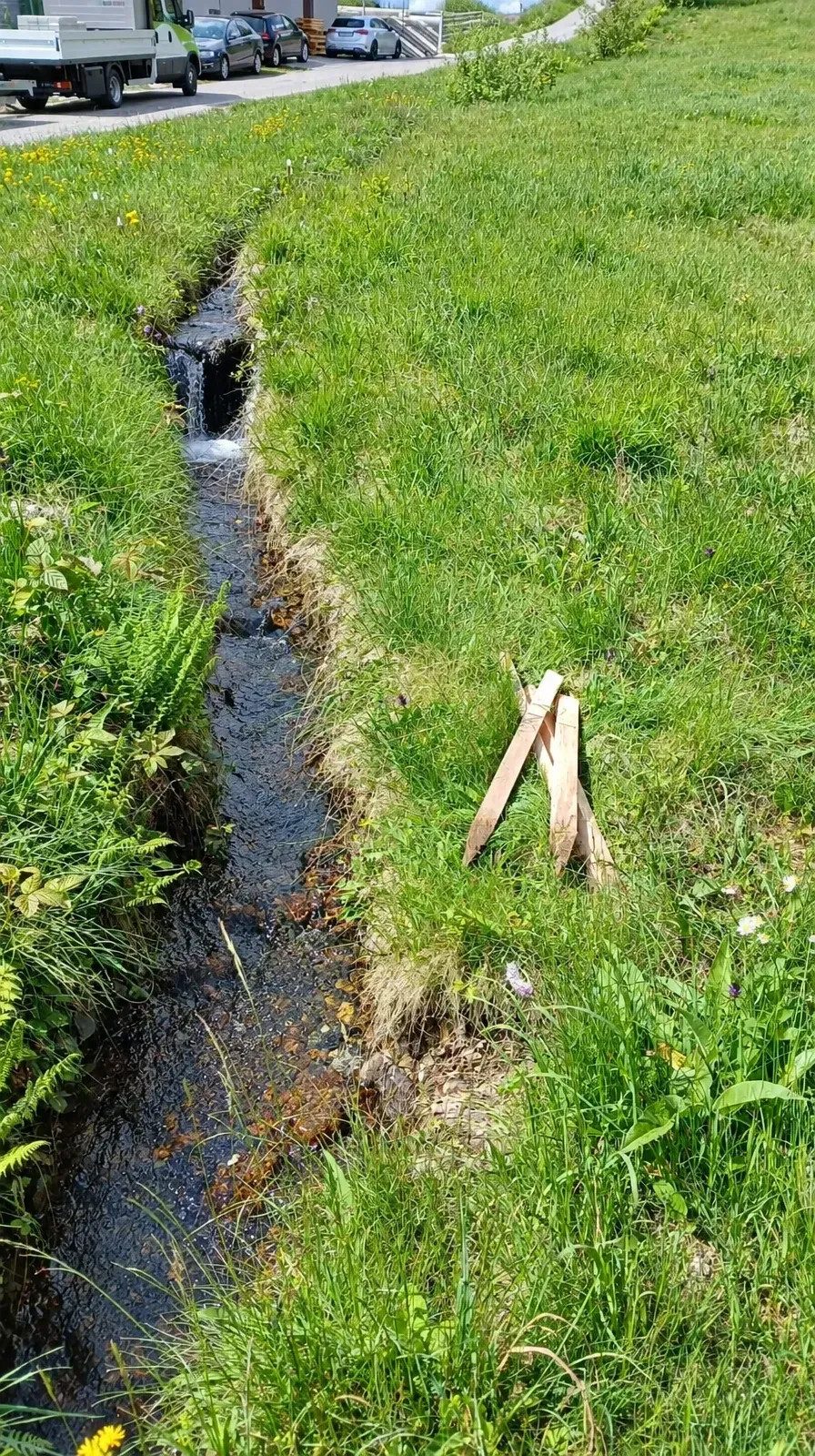 Landwirtschaftliche Fläche in Schwarzenberg, Bild 3 von 8