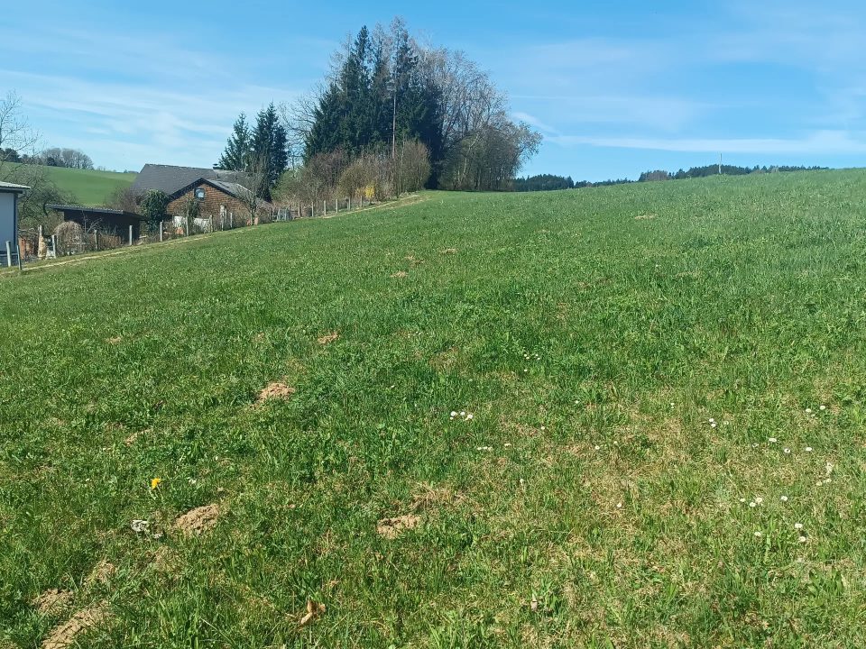 Baugrund ohne Bauzwang, frei wählbare Größe – Gebirgsblick & Atterseenähe, Bild 2 von 9