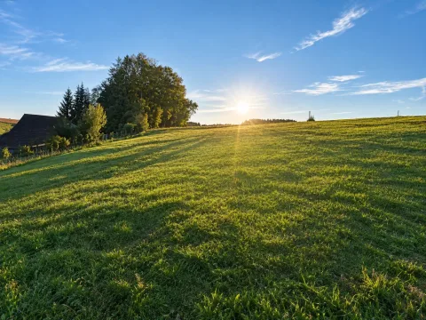 Baugrundstück in Witzling, Bild 1 von 9