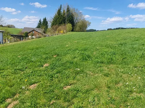 Baugrundstück in Witzling, Bild 2 von 9