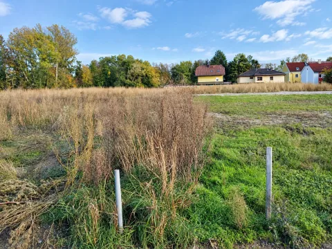 Baugrundstück in Siegersdorf, Bild 3 von 7