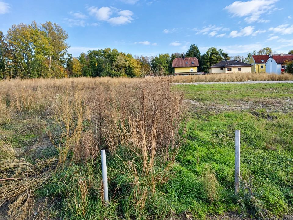 Baugrundstück in Siegersdorf, Bild 3 von 7