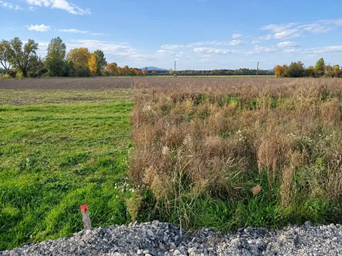 Baugrundstück in Siegersdorf, Bild 5 von 7