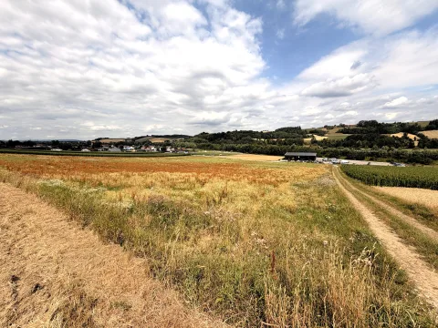Gewerbegrund in Kematen am Innbach, Bild 1 von 12