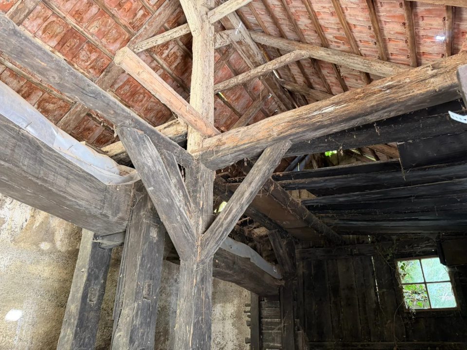 Projektobjekt mit Potenzial - traditionelles Presshaus in Wagram für kreative Sanierer, Bild 6 von 11
