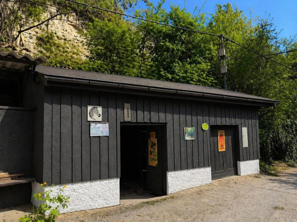 Projektobjekt mit Potenzial - traditionelles Presshaus in Wagram für kreative Sanierer, Bild 7 von 11