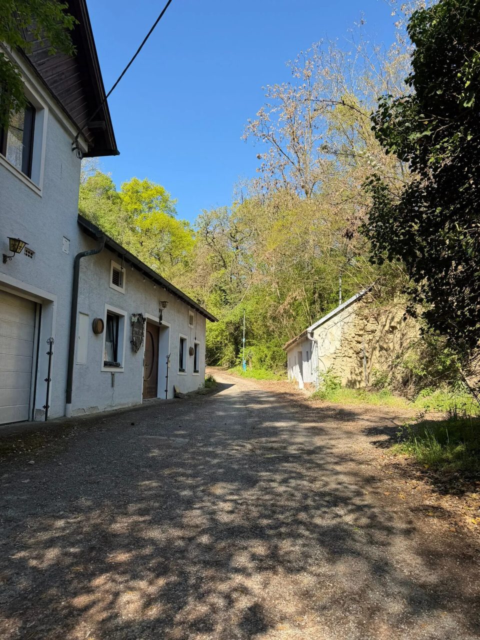 Projektobjekt mit Potenzial - traditionelles Presshaus in Wagram für kreative Sanierer, Bild 9 von 11