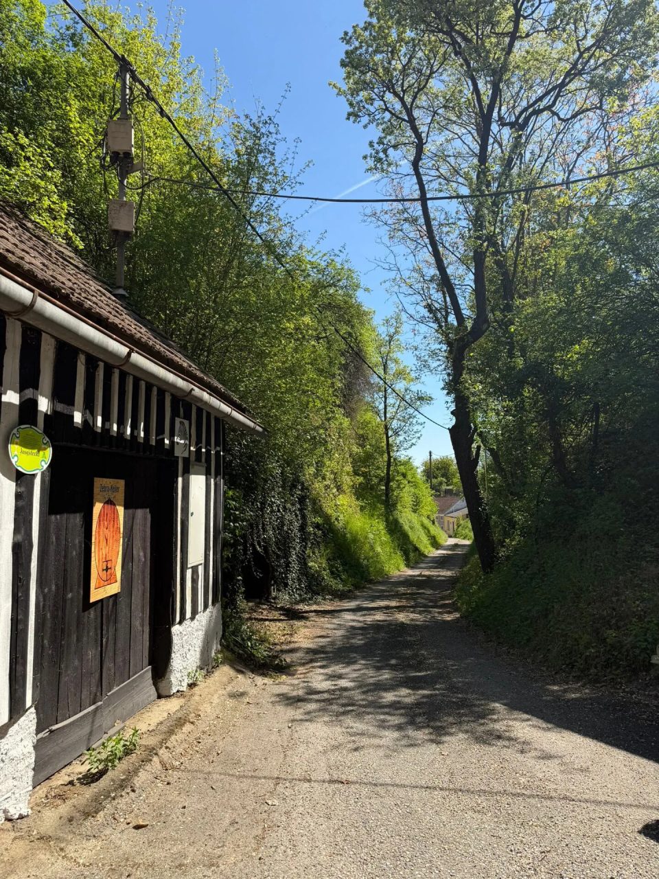 Projektobjekt mit Potenzial - traditionelles Presshaus in Wagram für kreative Sanierer, Bild 10 von 11