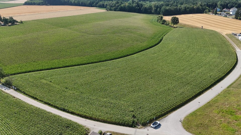 Grundstück