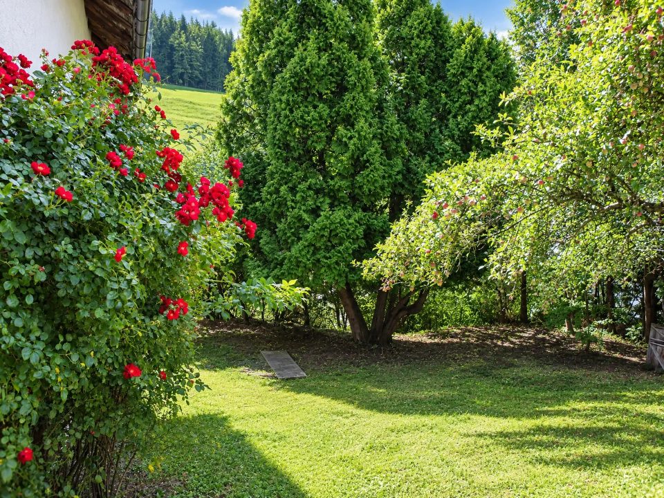 Einfamilienhaus in Laussa, Bild 8 von 22